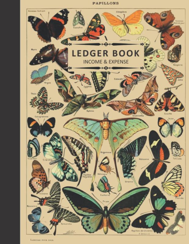Ledger Book: Financial Accounting Log Notebook and Tracker to Record Income and Expenses For Small Business and Personal Finance for Bookkeeping, Tax, Bill, Cash and Money Budgeting